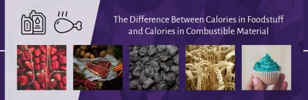 The Difference Between Calories in Foodstuff and Calories in Combustible Material