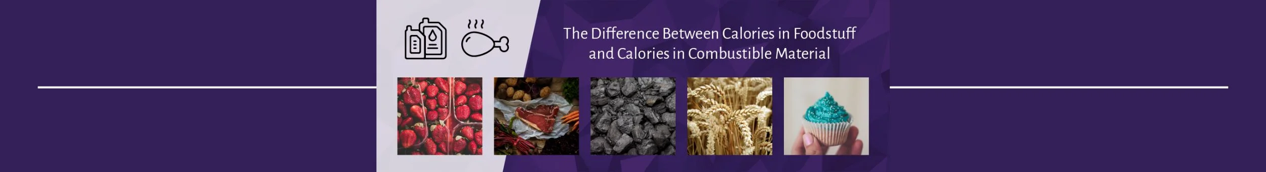 The Difference Between Calories in Foodstuff and Calories in Combustible Material | DDS Calorimeters